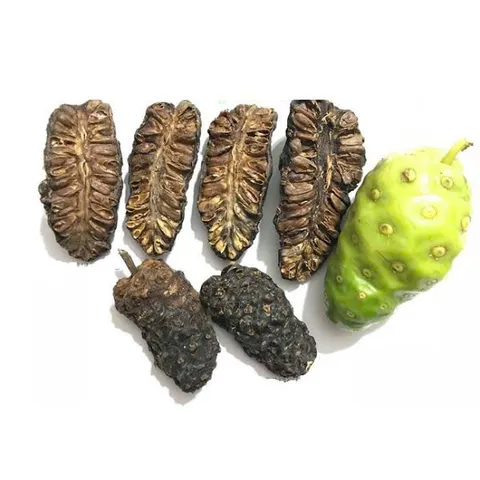TRÁI NHÀU KHÔ TỰ NHIÊN - Hỗ Trợ Sức Khỏe, Giúp Ngâm Rượu, Ngâm Đường, Nấu Nước Uống - Sản Phẩm ĐÔNG Y TUỆ AN