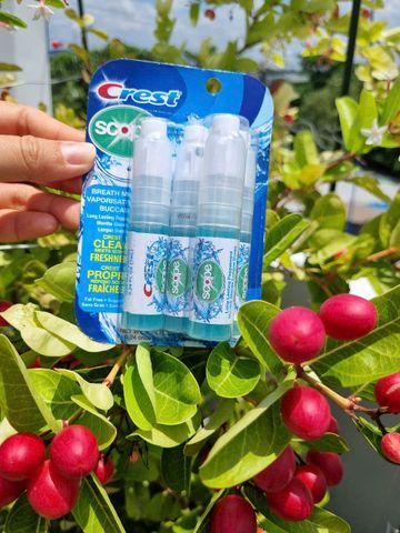 Nước xịt thơm miệng Crest Scope 7ml (Lốc 4 chai) - Khử mùi hôi hiệu quả, giữ hơi thở thơm mát, tiện lợi mang theo khi đi du lịch.