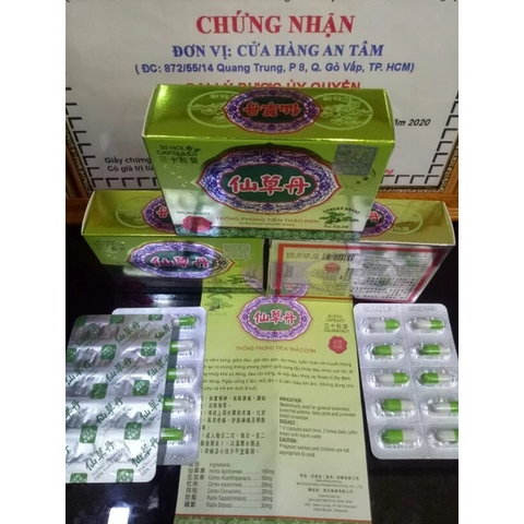 Thống Phong Tiên Thảo Đơn Hỗ Trợ Sức Khỏe Xương Khớp - Giảm Đau Nhức, Hỗ Trợ Thoái Hóa Khớp (Hộp 30 Viên)