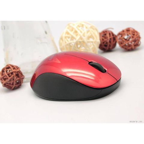 Chuột Không Dây Born C113 - Chuột Quang Ergonomic 1600dpi cho Máy Tính Văn Phòng, Kết Nối 10m, Tự Động Tắt, Thiết Kế Thời Trang