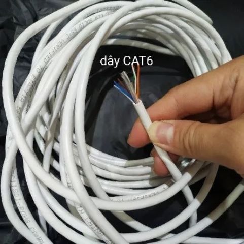 Dây Mạng LAN CAT6 Bấm Sẵn Chống Nhiễu - Dây Internet Gipco 30m 40m 50m 60m 70m - Chất Lượng Chính Hãng