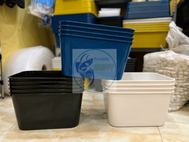 Khay Nhựa Nuôi Cá Cảnh 7L - Dụng Cụ Ép Cá Đẻ, Trồng Rau, Chất Lượng Cao, Phụ Kiện Guppy, Betta, Guppy, Cá 7 Màu