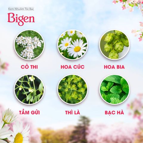 Kem Nhuộm Tóc Bigen Speedy Color Milky 80g - Phủ Bạc Hoàn Hảo, Chiết Xuất Thảo Mộc, Dễ Sử Dụng Tại Nhà cho Tóc Mềm Mượt
