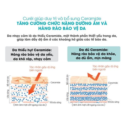 Gel Tẩy Trang Curél Cấp Ẩm Chuyên Sâu 130g - Tẩy Trang Nhẹ Nhàng Cho Da Nhạy Cảm, Không Chứa Dầu, Dưỡng Ẩm Tối Ưu