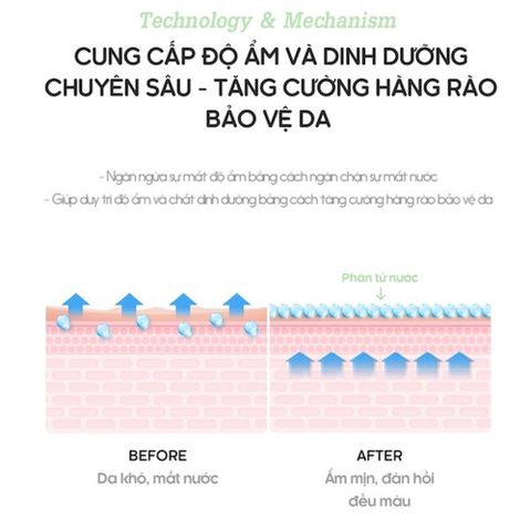 Huyết Thanh Re:p Cấp Nước 30ml - Serum Phục Hồi Da Dầu & Dưỡng Ẩm Giàu Chất Dinh Dưỡng, An Toàn Cho Da Nhạy Cảm