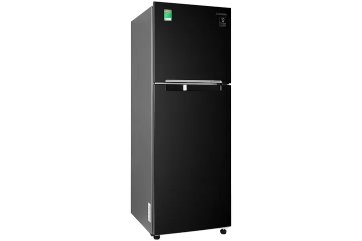 Tủ lạnh Samsung Inverter 236 lít RT22M4032BU/SV chính hãng