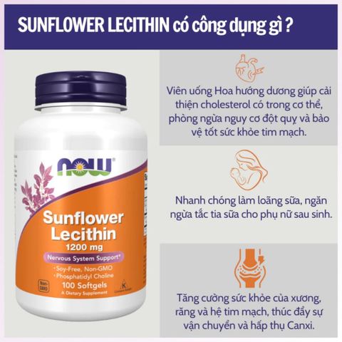Viên uống chống tắc tia sữa Now Sunflower Lecithin 1200mg - 100 viên