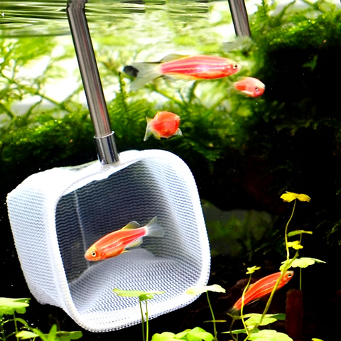 Vợt Tép 3D Chống Sốc Kéo Dài - Đồ Dùng Thủy Sinh Nhỏ Gọn, Chuyên Dụng Cho Tép Cảnh