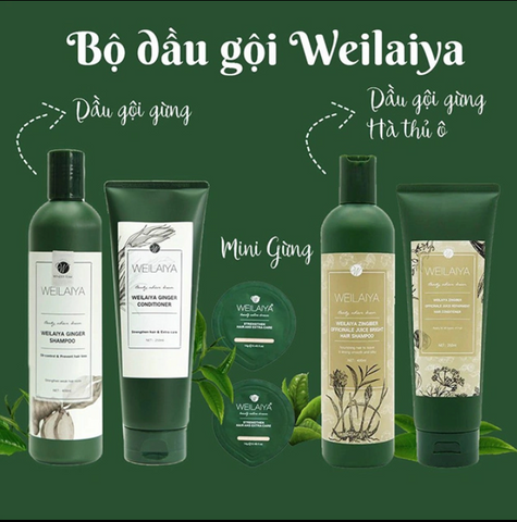 Dầu Gội Weilaiya Mọc Tóc & Giảm Gàu - Bộ 2 Chính Hãng Hàn Quốc (Kèm Bộ Mini Du Lịch) - Dưỡng Tóc Khỏe Mạnh, Giảm Ngứa Da Đầu