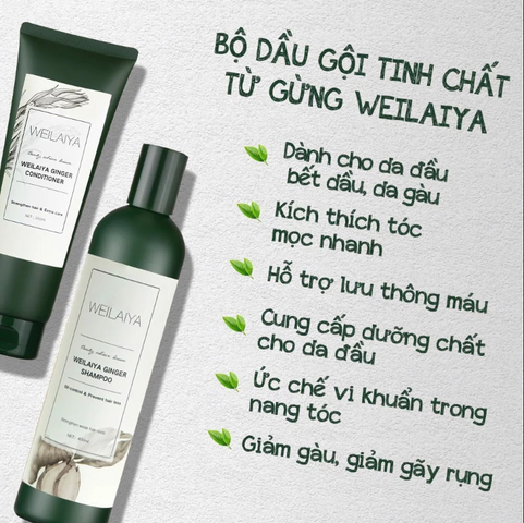 Dầu Gội Weilaiya Mọc Tóc & Giảm Gàu - Bộ 2 Chính Hãng Hàn Quốc (Kèm Bộ Mini Du Lịch) - Dưỡng Tóc Khỏe Mạnh, Giảm Ngứa Da Đầu