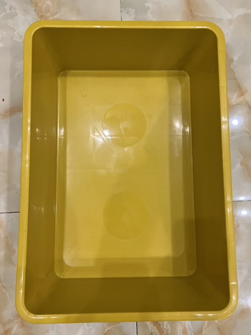 Khay Nhựa Nuôi Cá Cảnh 16L - Để Ép Cá, Trồng Rau, Đựng Đồ - Phụ Kiện Chất Lượng Cho Betta, Guppy, Cá 7 Màu