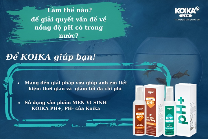Men Vi Sinh KOIKA PH+ PH- 105ml - Điều Chỉnh Độ pH Tự Nhiên Cho Hồ Cá Cảnh - Hỗ Trợ Làm Trong Nước