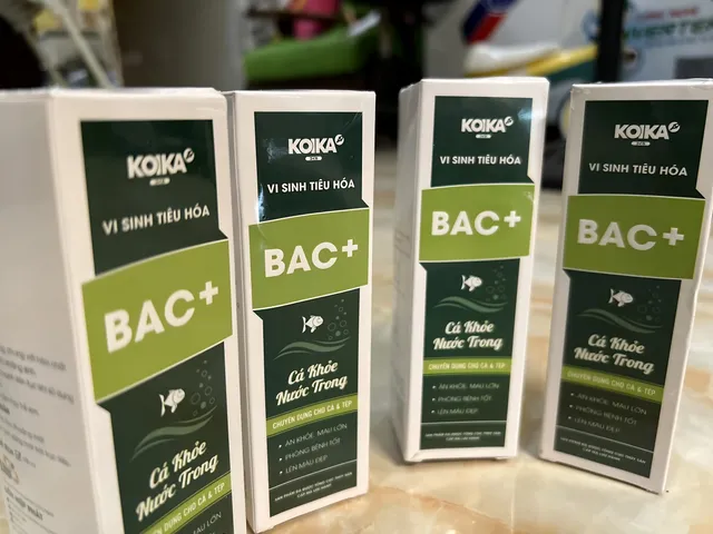 Men Tiêu Hóa KOIKA BAC+ (105ml) - Giúp Cá Cảnh Lớn Nhanh, Chống Tình Trạng Đường Ruột và Nấm Bệnh