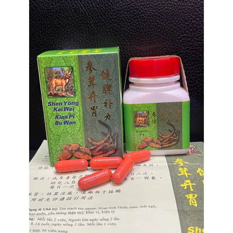 Trùng Thảo Xanh Bổ Tỳ - Viên Thực Phẩm Chức Năng Hỗ Trợ Tim Mạch, Tăng Cường Trí Nhớ, Giúp Ngủ Ngon - Hộp 36 Viên