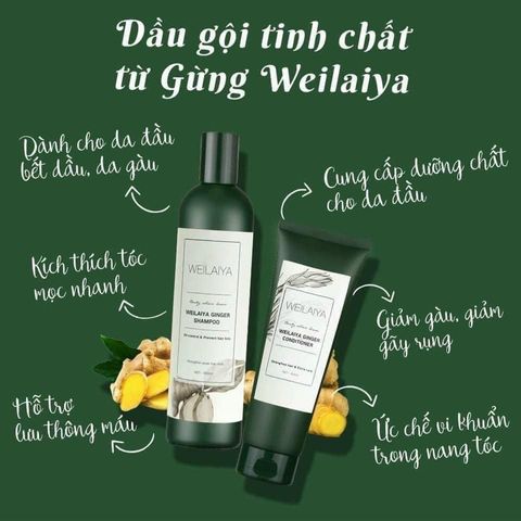 Dầu Gội Weilaiya Tinh Chất Gừng - Hỗ Trợ Mọc Tóc, Giảm Gàu, Dưỡng Tóc Khỏe Mạnh - Sản Phẩm Chăm Sóc Tóc Tự Nhiên Đức