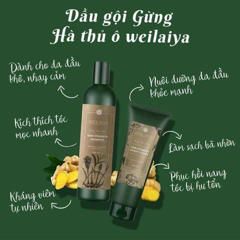 Dầu Gội Weilaiya Tinh Chất Gừng - Hỗ Trợ Mọc Tóc, Giảm Gàu, Dưỡng Tóc Khỏe Mạnh - Sản Phẩm Chăm Sóc Tóc Tự Nhiên Đức