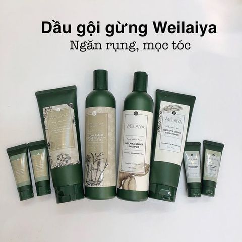 Dầu Gội Weilaiya Tinh Chất Gừng - Hỗ Trợ Mọc Tóc, Giảm Gàu, Dưỡng Tóc Khỏe Mạnh - Sản Phẩm Chăm Sóc Tóc Tự Nhiên Đức