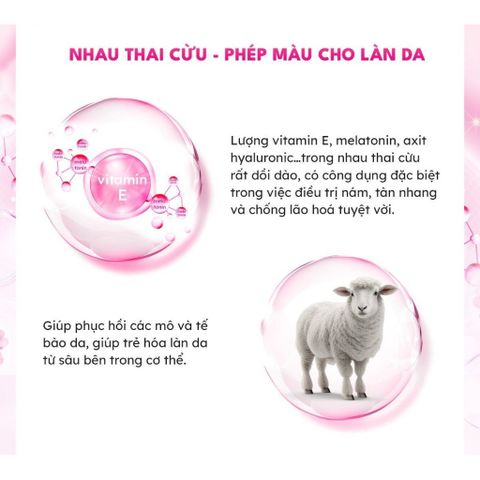 Kem nhau thai cừu Cam chống nhăn - Vitamin E, Essence Oil 100g