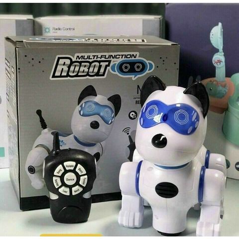 Set Đồ Chơi Điều Khiển Từ Xa Robot Chó - Chọn Ngẫu Nhiên 1 trong 2 mẫu (2629-T10 và 2629-T10B)
