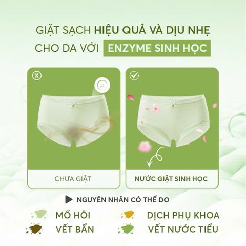 Nước Giặt Đồ Lót Sinh Học Lô Hội Nét Hoa 300ml - An Toàn Cho Da Nhạy Cảm, Kháng Khuẩn, Làm Sạch Dịu Nhẹ