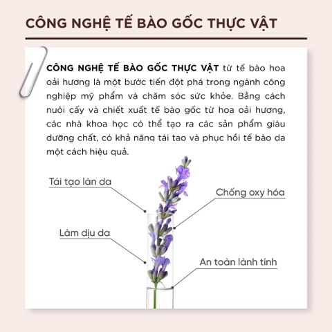 Nước Tẩy Trang Lalamos Đài Kim Ngân Hoa 280ml - Làm Sạch Dịu Nhẹ, Dưỡng Ẩm và Làm Dịu Da, Phù Hợp Mọi Loại Da