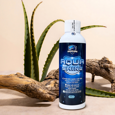 AquaShine Hodicare - Giải pháp khử độc nước cho cá cảnh, phục hồi và bảo vệ sức khỏe, an toàn với chiết xuất lô hội tự nhiên