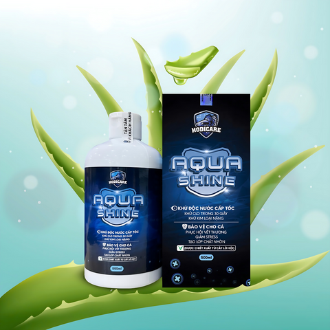 AquaShine Hodicare - Giải pháp khử độc nước cho cá cảnh, phục hồi và bảo vệ sức khỏe, an toàn với chiết xuất lô hội tự nhiên