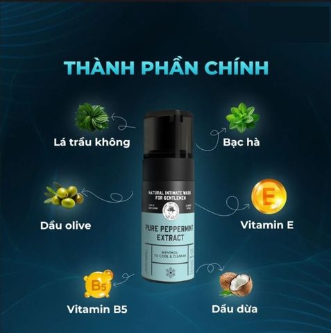 Dung dịch vệ sinh nam dạng bọt tinh chất bạc hà Shell Pure Peppermint Extract