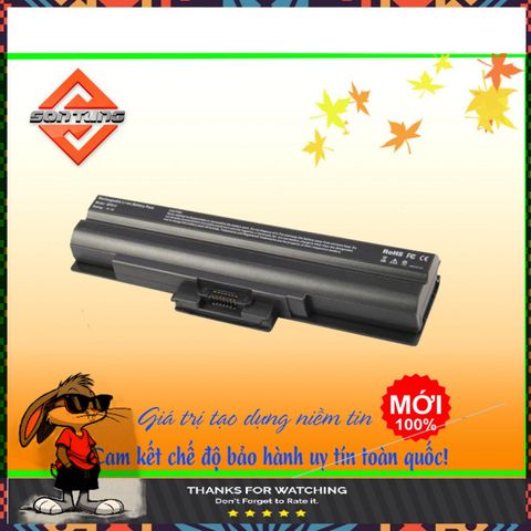 Pin Laptop Sony Vaio BPS13 BPS21 - 6 Cell 5200mAh - Thời gian sử dụng 1h30'-2h30' - Bảo hành 9 tháng