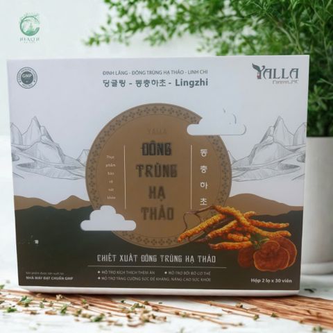 Đông Trùng Hạ Thảo Từ Thiên Nhiên - Thực Phẩm Chức Năng Tăng Cường Sức Khỏe, Kích Thích Thèm Ăn và Bồi Bổ Cơ Thể
