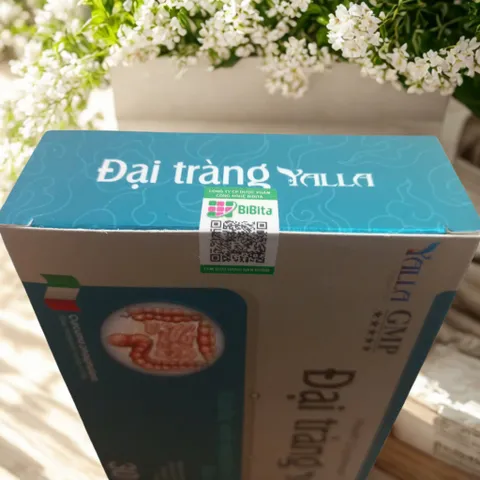 Đại Tràng Yalla - Giải Pháp Tối Ưu Hỗ Trợ Tiêu Hóa Khỏe Mạnh, Giảm Đầy Hơi, Táo Bón Từ Thành Phần Tự Nhiên