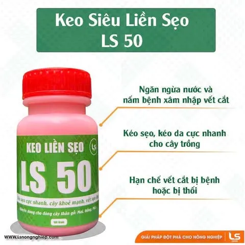 Keo Liền Sẹo 100gr - Giúp Giâm Cành Hoa Cây Cảnh, Chất Lượng Cao LS Việt Nam, Đảm Bảo Hiệu Quả Ổn Định