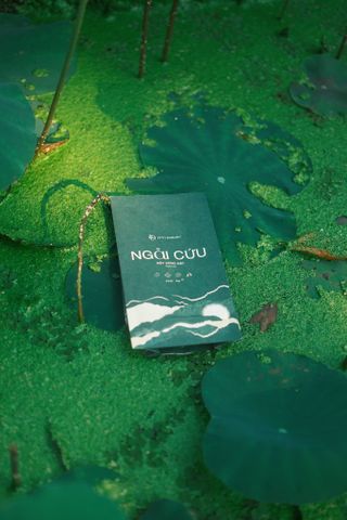 Bột Xông Ngải Cứu D'Vi Nature - Thải Chì, Đào Thải Độc Tố, Chăm Sóc Da Từ Thiên Nhiên, Sản Phẩm Làm Đẹp Độc Quyền Việt Nam