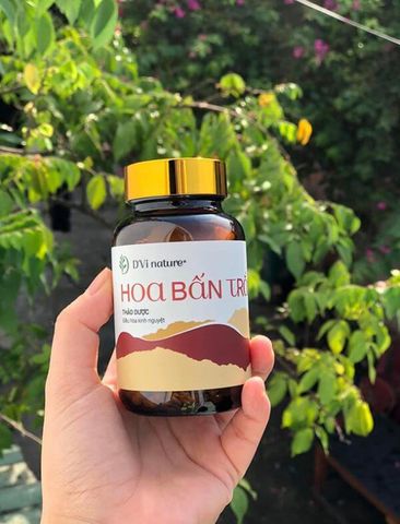 Hoa Bấn Trắng D'Vi Nature - Thực Phẩm Chức Năng Hỗ Trợ Điều Hòa Kinh Nguyệt và Cải Thiện Sức Khỏe Phụ Nữ