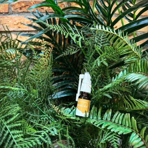 Kim Ngũ Sắc D'Vi Nature - Hỗ Trợ Xoang Mũi Từ Thiên Nhiên, Giảm Tắc Nghẽn, Cung Cấp Độ Ẩm, Dành Cho Người Lớn Và Trẻ Em Từ 6 Tuổi