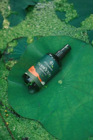 Đại hồi tán D'Vi Nature Giảm Đau Hiệu Quả - Sản Phẩm Chăm Sóc Sức Khỏe Tự Nhiên, Giúp Bạn Thoải Mái Chưa Từng Có