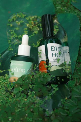 Đương Quy Hoa D'Vi Nature - Hỗ Trợ Làm Sáng Da, Giảm Nám, Tàn Nhang, Tái Tạo Làn Da Khỏe Mạnh, Dưỡng Ẩm Tự Nhiên