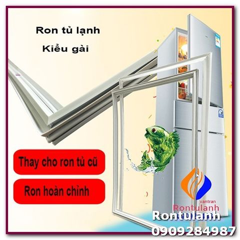 Ron Cửa Tủ Lạnh Electrolux ETB2300PC - Thay Thế Cao Su & Nam Châm Dễ Dàng - Kiểm Tra Kích Thước Trước Khi Đặt Hàng