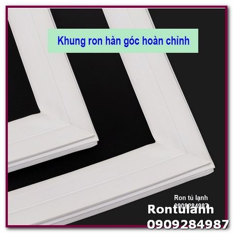 Ron Cửa Tủ Lạnh Electrolux ETB2300PC - Thay Thế Cao Su & Nam Châm Dễ Dàng - Kiểm Tra Kích Thước Trước Khi Đặt Hàng