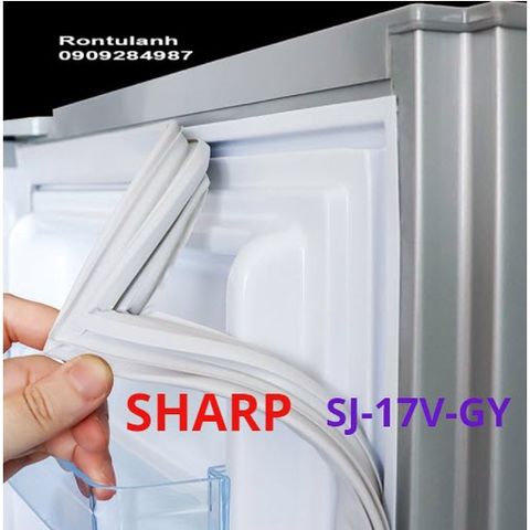 Ron Tủ Lạnh Chất Lượng Cao - Ron Cao Su Nam Châm Thay Thế Được Thiết Kế Đặc Biệt, Dễ Dàng Lắp Đặt, Giao Hàng Toàn Quốc
