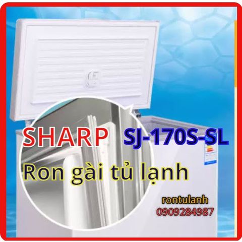 Ron Tủ Lạnh Chất Lượng Cao - Ron Cao Su Nam Châm Thay Thế Được Thiết Kế Đặc Biệt, Dễ Dàng Lắp Đặt, Giao Hàng Toàn Quốc