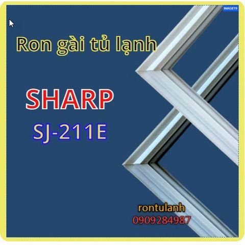 Ron Tủ Lạnh Chất Lượng Cao - Ron Cao Su Nam Châm Thay Thế Được Thiết Kế Đặc Biệt, Dễ Dàng Lắp Đặt, Giao Hàng Toàn Quốc