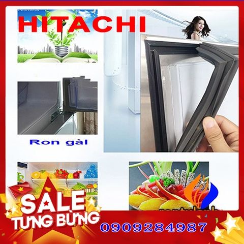 Ron cửa tủ lạnh Hitachi R-T190EG1D - Ron cao su và nam châm thay thế, kích thước ngăn đá 485x455, ngăn mát 485x780