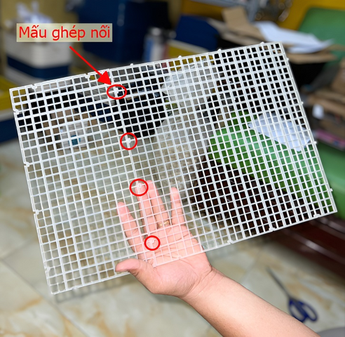Tấm Vách Ngăn Bể Cá Đa Năng - Vỉ Nhựa Chia Ô Bể 30x30cm & 15x30cm, Bền Đẹp, Giúp Chữa Bệnh và Ép Cá