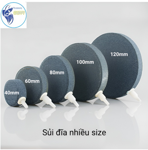 Đĩa Sủi Oxy Siêu Mịn Cho Bể Cá - Tăng Nồng Độ Oxy Hòa Tan, Thiết Kế Đẹp, Nhiều Kích Cỡ (4cm, 6cm, 8cm, 10cm, 12cm)