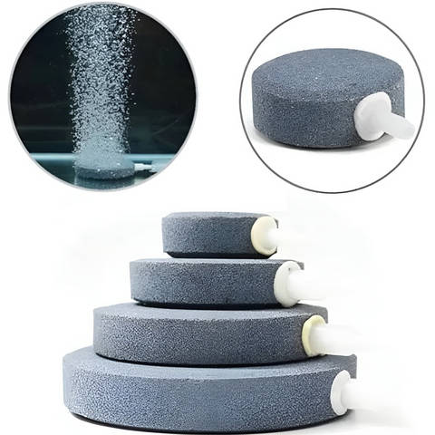 Đĩa Sủi Oxy Siêu Mịn Cho Bể Cá - Tăng Nồng Độ Oxy Hòa Tan, Thiết Kế Đẹp, Nhiều Kích Cỡ (4cm, 6cm, 8cm, 10cm, 12cm)