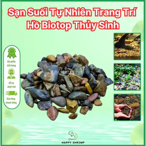 Sạn Suối Thiên Nhiên 100g-200g - Sỏi Trang Trí Hồ Thủy Sinh Biotop - Phụ Kiện Bể Cá Cảnh Tự Nhiên