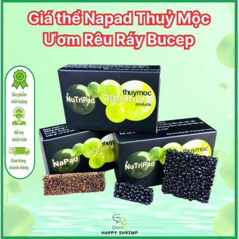 Giá Thể Napad Thủy Mộc - Giá Thể Buộc Cây Thủy Sinh Cho Rêu, Bucep, Ráy - Phụ Kiện Hồ Cá 10 Miếng