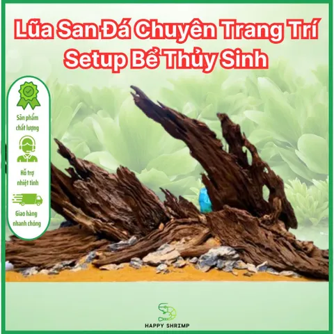 Lũa San Đá Trang Trí Bể Thủy Sinh - Miếng Nhiều Kích Thước Tự Nhiên Đẹp, Hình Dáng Độc Đáo Cho Bể Cá Cảnh