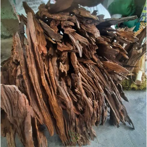 Lũa San Đá Trang Trí Bể Thủy Sinh - Miếng Nhiều Kích Thước Tự Nhiên Đẹp, Hình Dáng Độc Đáo Cho Bể Cá Cảnh